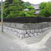 写真：